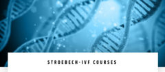 Courses - Stroebech IVF Universe