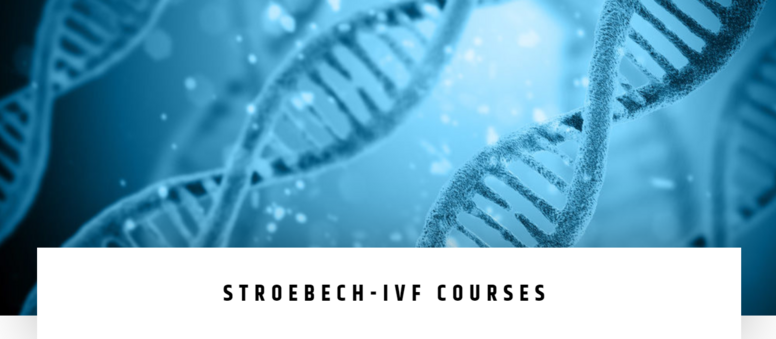 Online Bovine IVF Course
