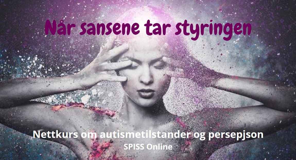 produktkort NSS