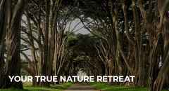 Your-True-Nature-Sydney-700x380-px