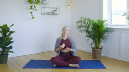 Forbehold ved yoga