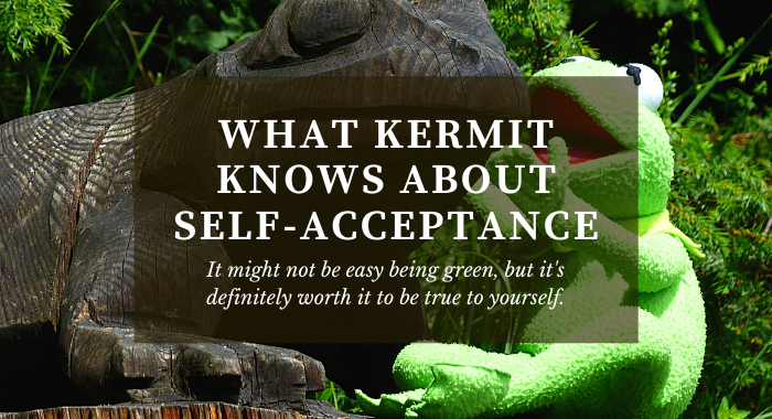 what kermit knows