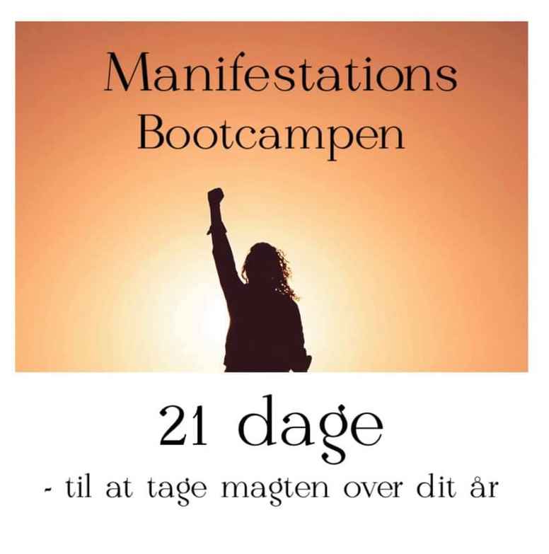 2021s Manifestations Bootcamp 
