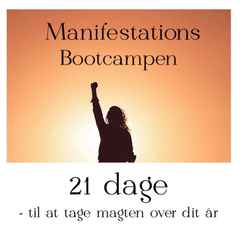 Mette Holm Manifestations bootcamp