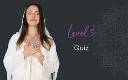 Level 3 quiz