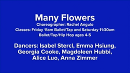 Fancy-Feet-2019-Show-D-16-Many-Flowers