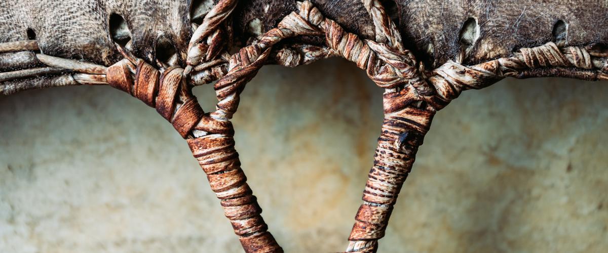 2307-shamanistisk-tambourin-kronhjort-kraftcirkler-2880x1200