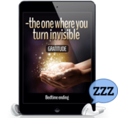 5-the one where you turn invisible zzz 300x300