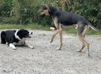 2543B4FF-C2CB-4E82-B4F6-4DAA5D2D4A5A