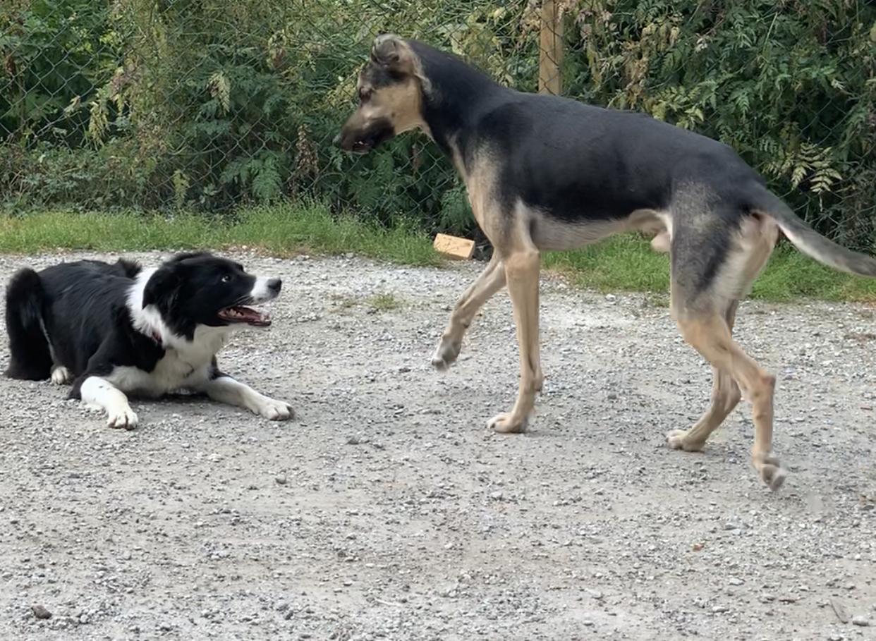 2543B4FF-C2CB-4E82-B4F6-4DAA5D2D4A5A