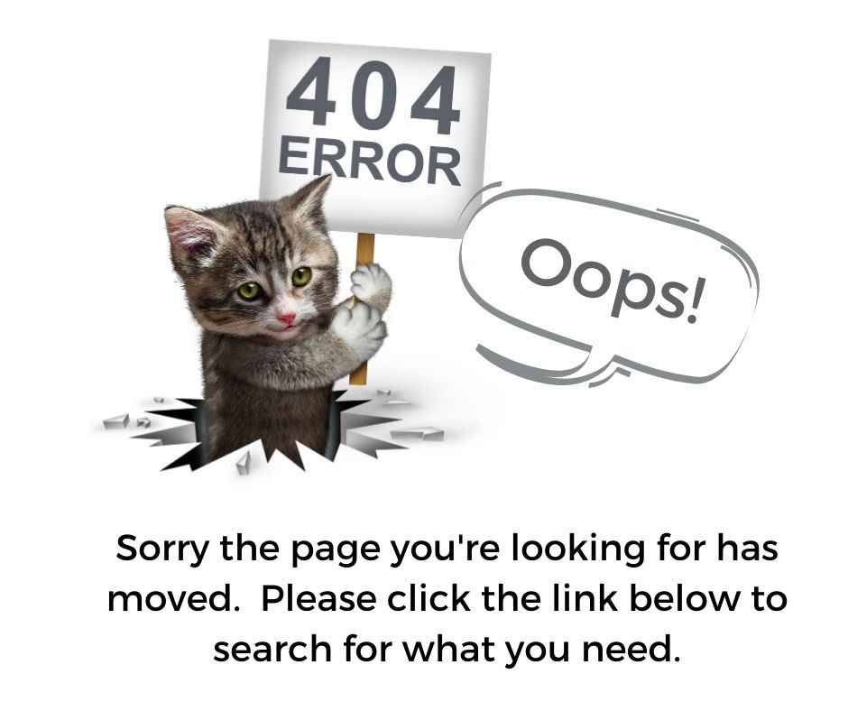 404 cat error 2