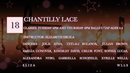 Fancy-Feet-2017-Show-B-18-Chantilly-Lace