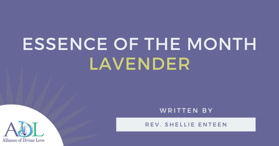 ADL Blog-Essence of the Month_Lavendar-2021_01