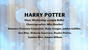 Fancy-Feet-2015-Show-B-08-Harry-Potter