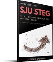 SJU STEG - book cover miniatyr 4