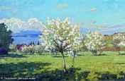 P.Petrowitschew. Blühende Kirschenbäume