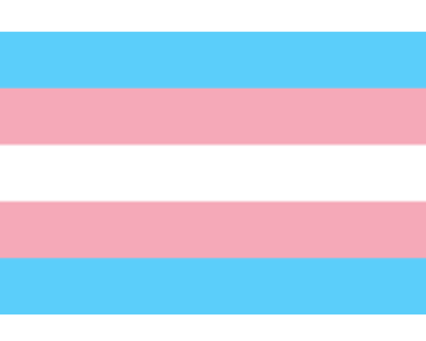 transgender welcome flag