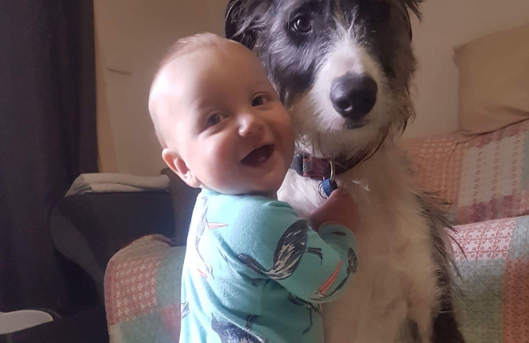 Ziggy 8mths (Julie Blezard)