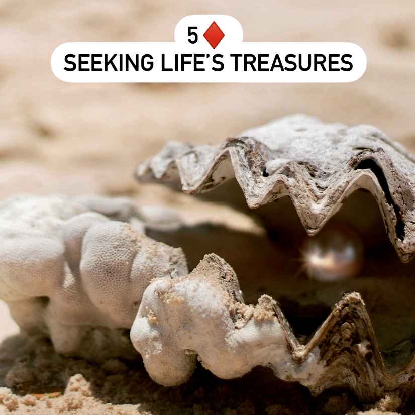 Five of Diamonds: Seeking Life's Treasures