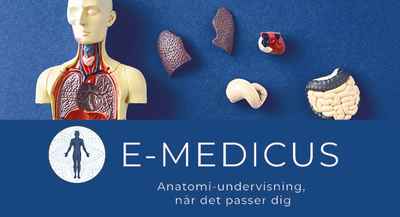 Prøv gratis E-Medicus - 300 timers Anatomi, Fysiologi og Sygdomslære 