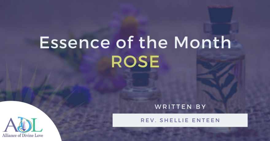 ADL Blog-Essence of the Month_Rose-2021_02