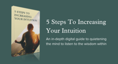 Intuition Ebook
