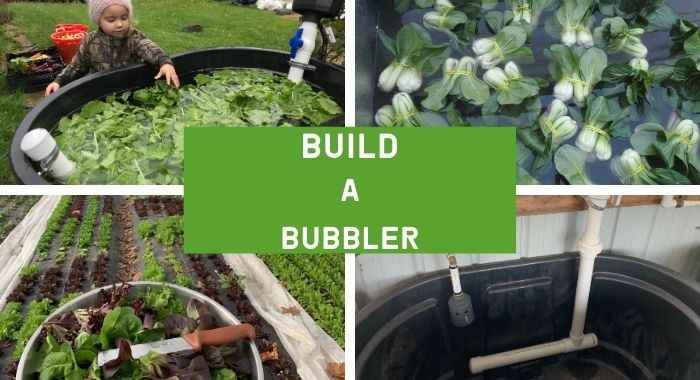 Build A Bubbler
