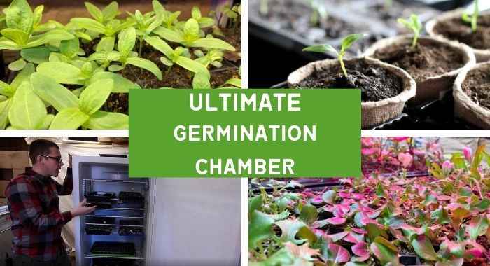 GF02- Germination Chamber- Course Card