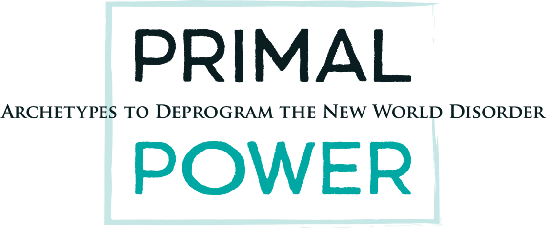 BM Primal Power Logo