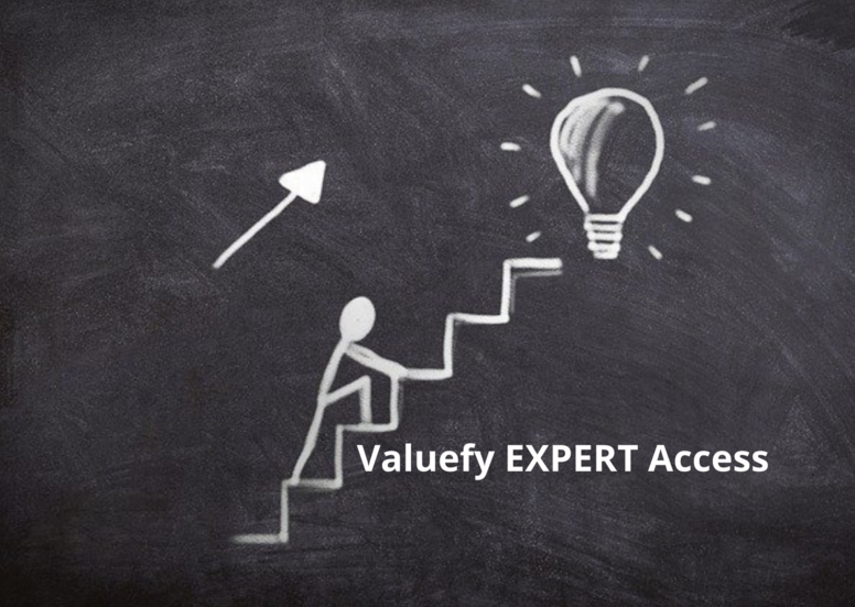 Valuefy™ Expert Service