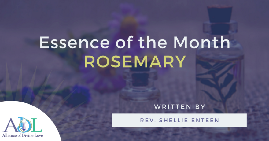 adl blog_essence of the month_2021_03_header image_rosemary