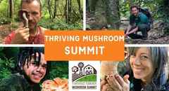 S02- Thriving Mushroom Summit- Course Card
