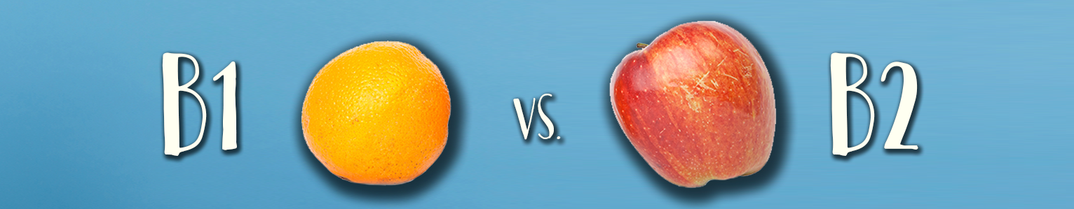 NFI-GN - LESSON BANNER - b1 vs b2