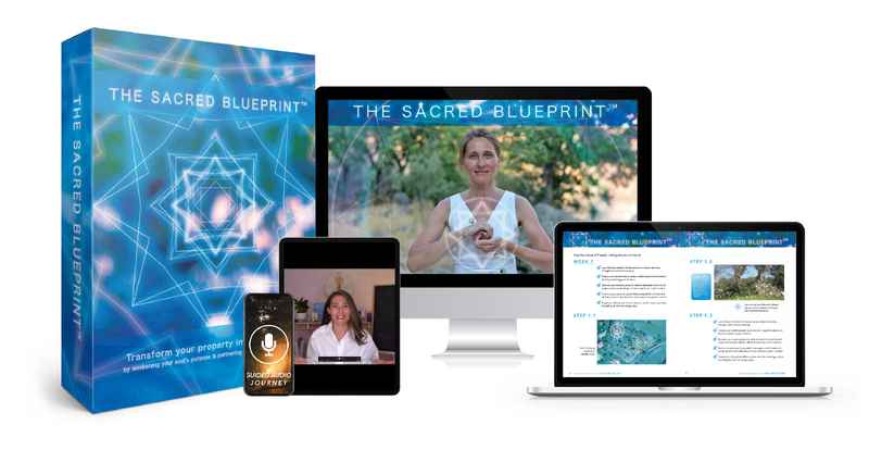 NEW Sacred Blueprint_ecourse_mediamodifier_image_Cropped