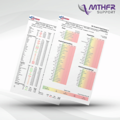mthfr-food-sensitivity-test-kit-pi