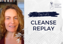 Day 1 Cleanse Replay
