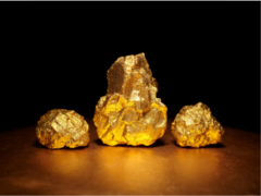 gold nugget2