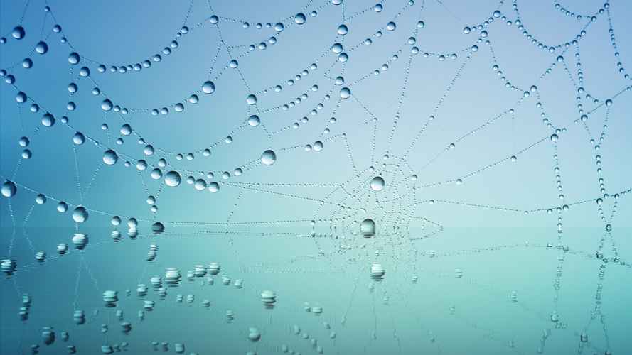 cobweb-water-drops-teal header