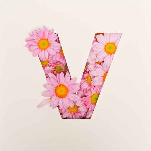 V (flowers)
