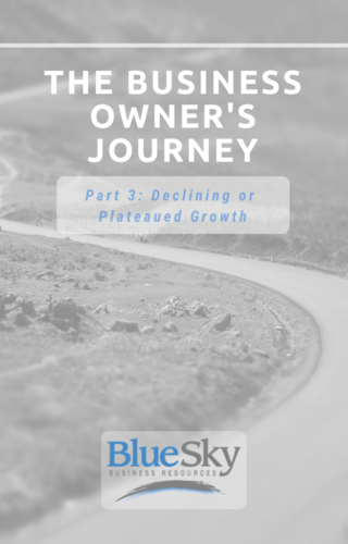 Part 3 The Business Owner's Journey Ebook