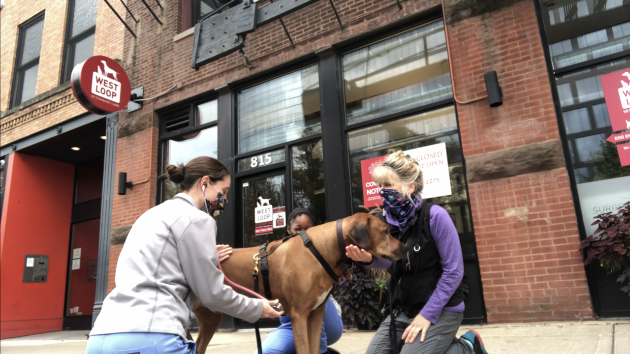 LauraMTSantino & Laura at WLVC-outside exam-Sept 2020
