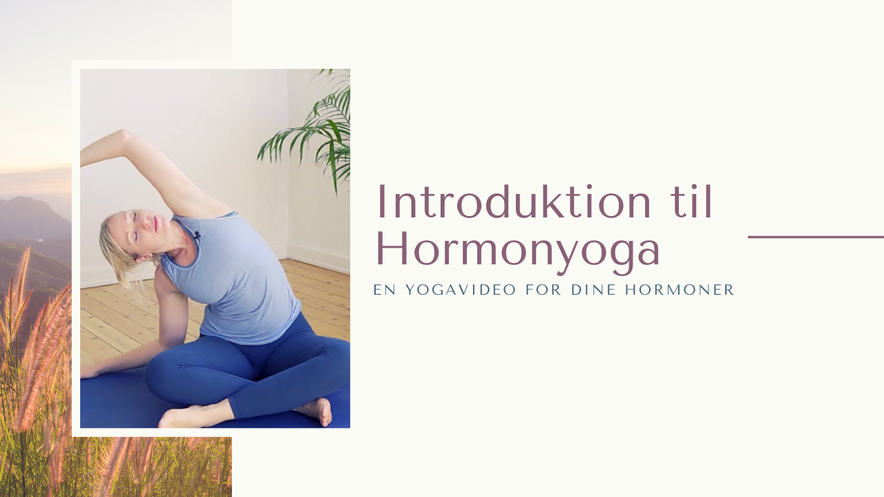 introduktion til hormonyoga yoga hormoner yogastillinger yogaøvelser øvelser Laura Grubb menstruationscyklus menstruation