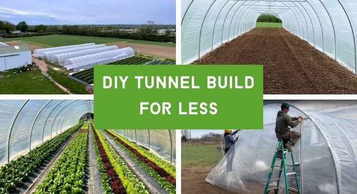 DIY Tunnel Build for Less! 