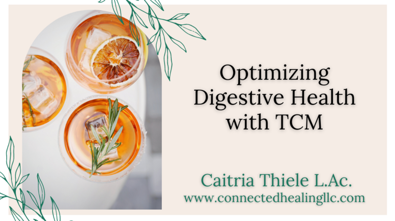 Optimizing Digestive Health with TCM Masterclass