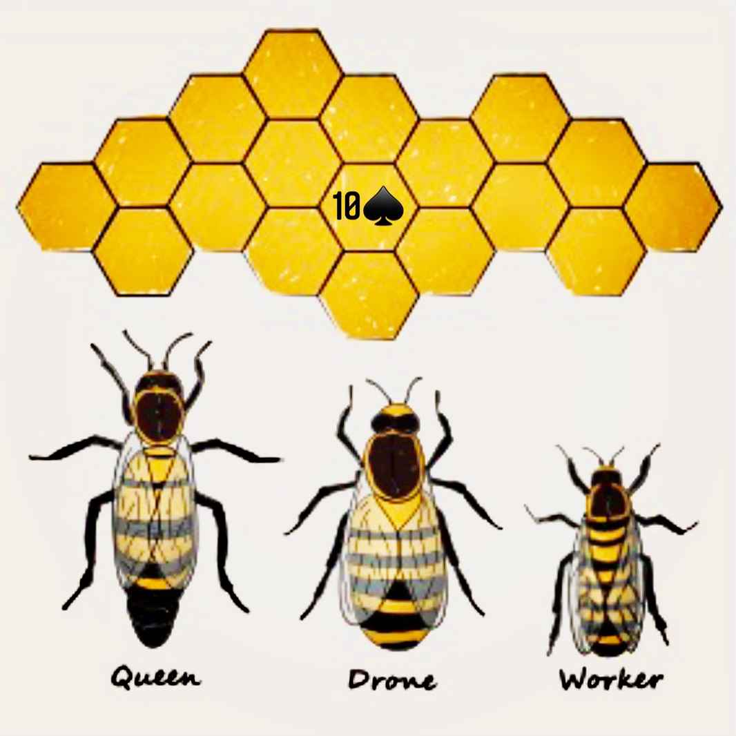 10 Spades: Bees - Highly Productive
