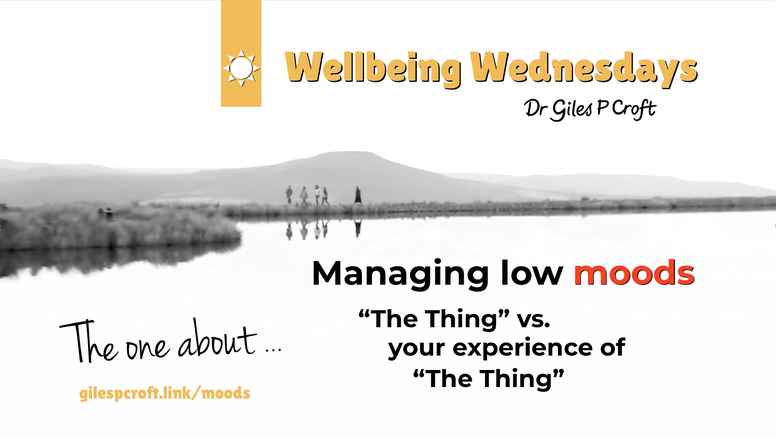 Wellbeing Wednesdays Episode #23: Moods