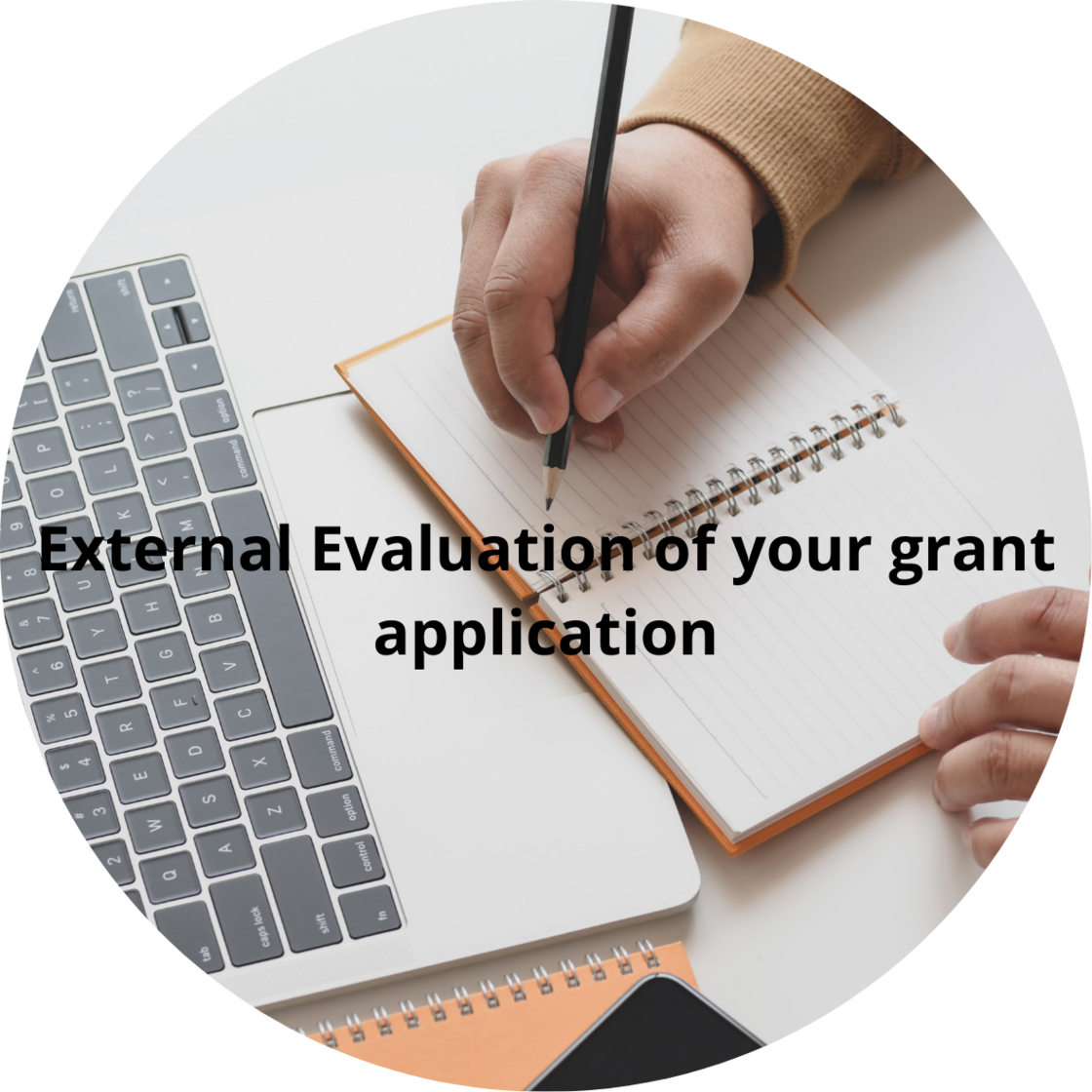 External Evaluation of your grant application