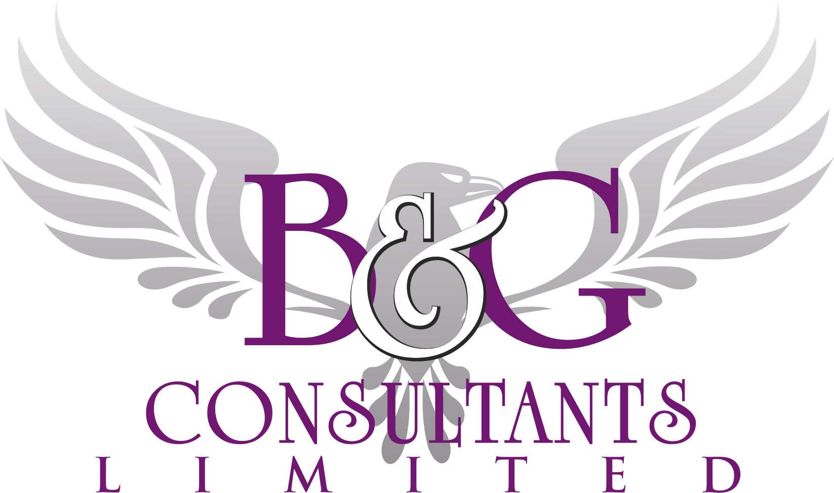 B&G Consultants Ltd logo