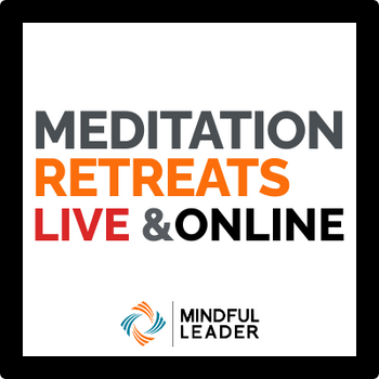 retreats mindful training