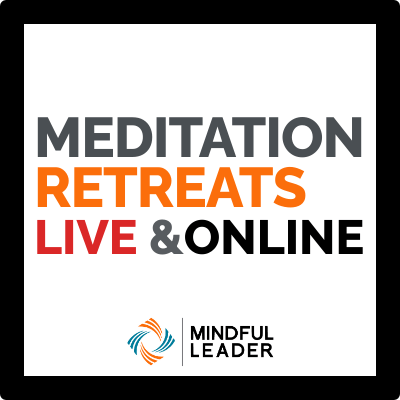 Meditation Retreats Logo